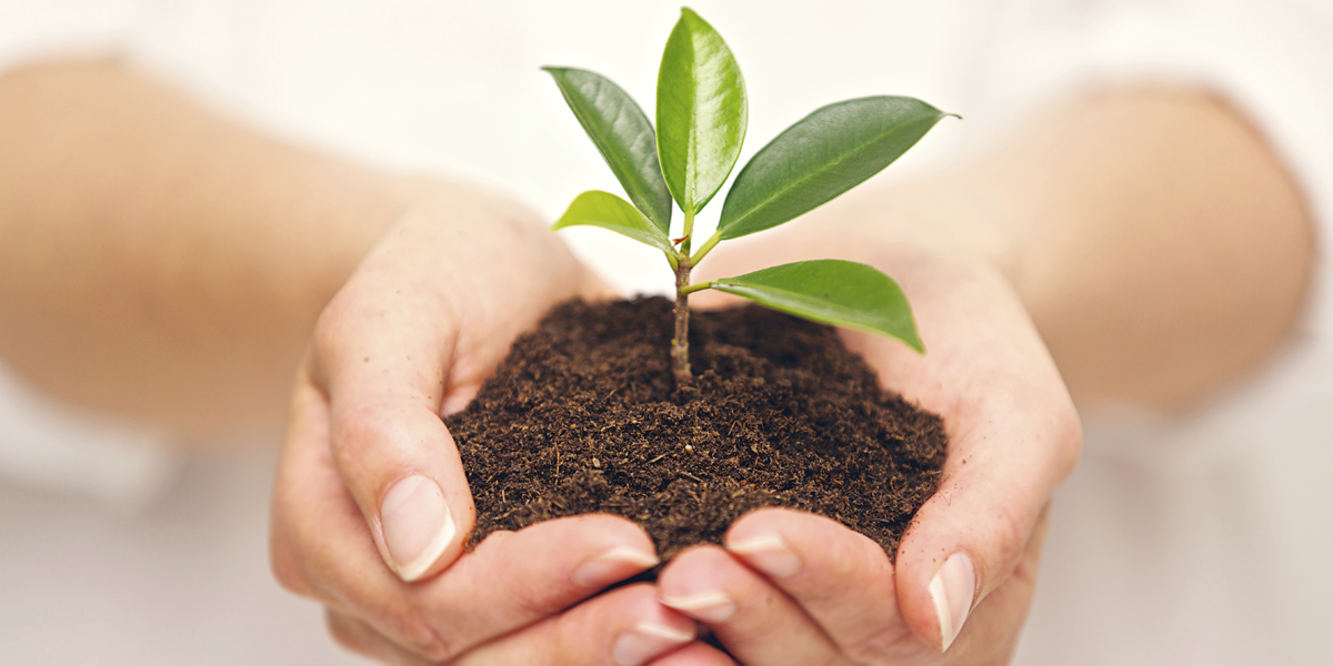 Sustentabilidade